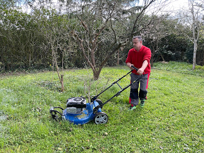 CMS Cyrille Multi-Services à Loireauxence