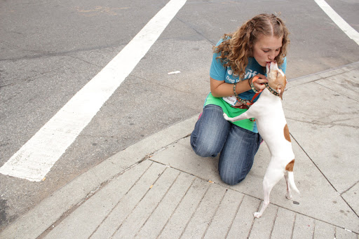 Photo of Swifto Dog Walking