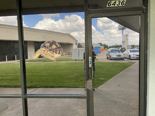 Master Splinters Reptiles