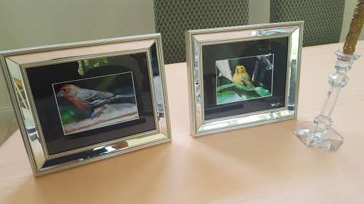 Picture Frame Shop «Aaron Brothers Art & Framing», reviews and photos, 166 Solana Hills Dr, Solana Beach, CA 92075, USA