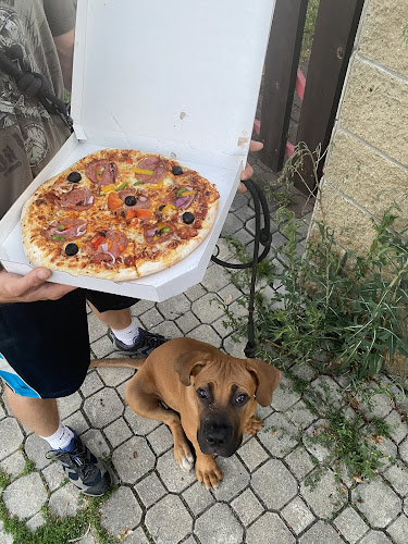 Recenze na Spart pizza v Olomouc - Pizzeria