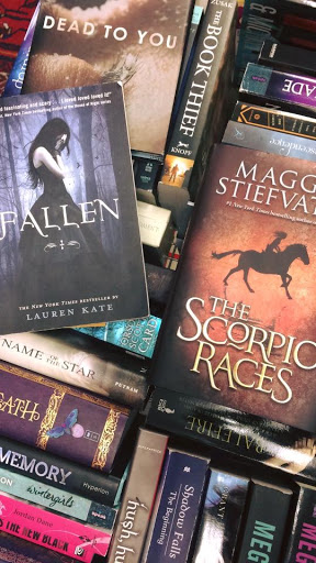 Rare Book Store «This Old Book Inc.», reviews and photos, 138 Center St, Grayslake, IL 60030, USA