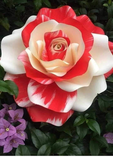 Grocery Store «Safeway», reviews and photos, 1540 Main St, Sweet Home, OR 97386, USA