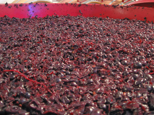 Winery «Aaronap Cellars», reviews and photos, 28 Carlisle Rd, Westford, MA 01886, USA