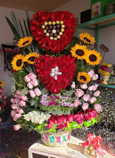 La Orquídea – Apan