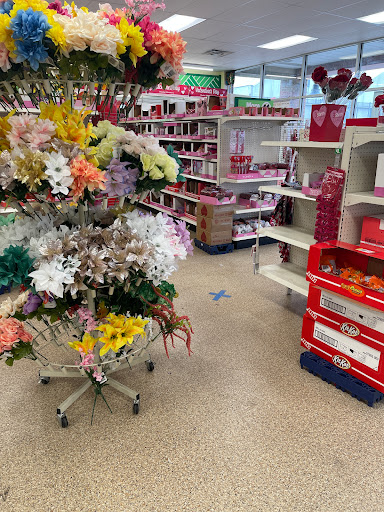 Dollar Store «Dollar Tree», reviews and photos, 8653 Columbus Pike, Lewis Center, OH 43035, USA