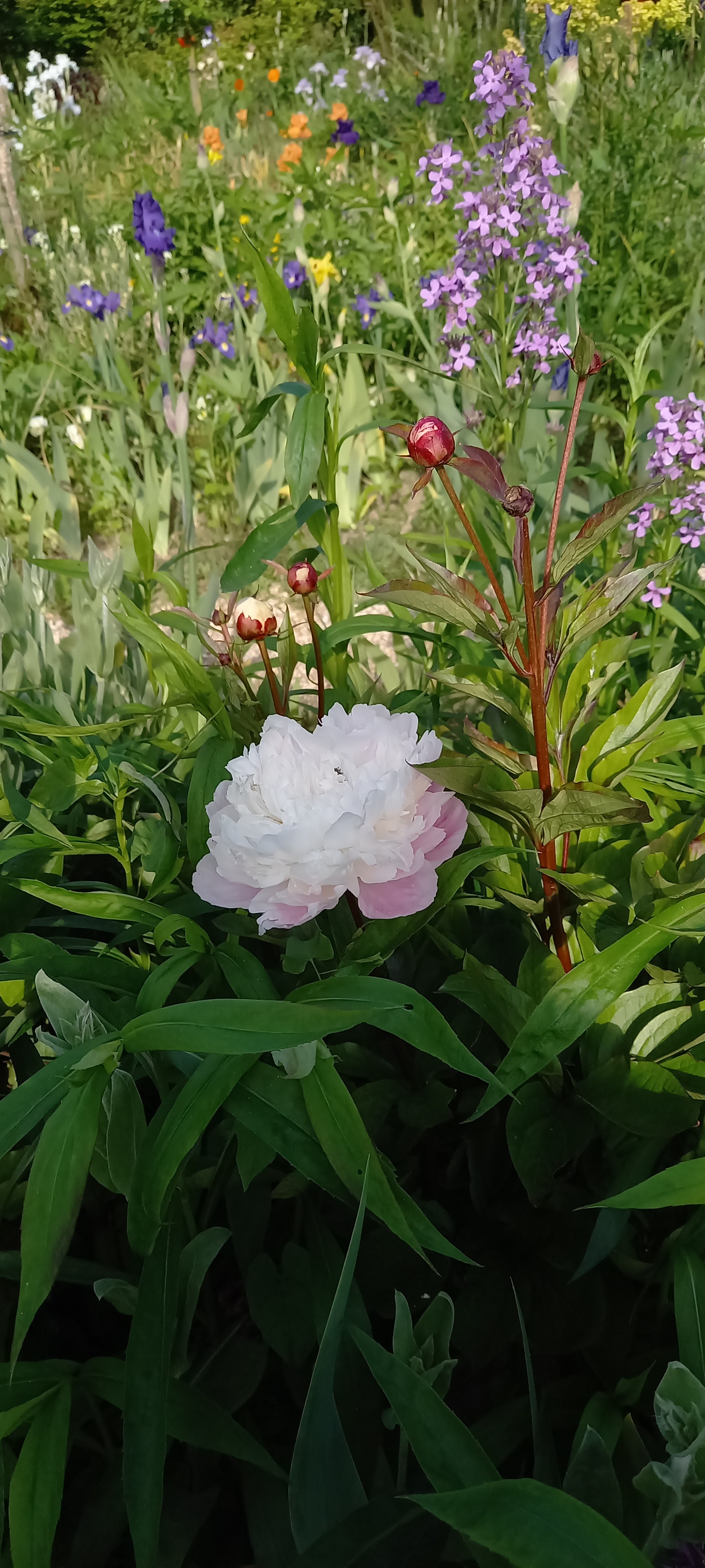 Photo n° 6 de l'avis de Gweyvan.r fait le 21/05/2023 à 19:47