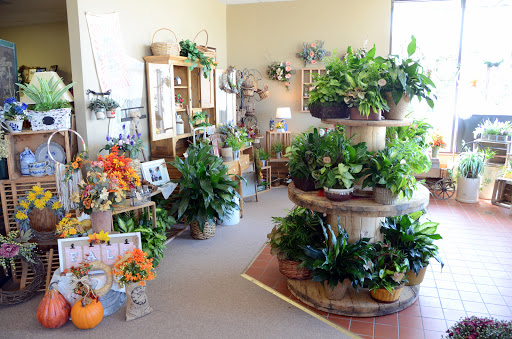 Florist «Bud and Bloom Florist», reviews and photos, 355 N Morton St, Franklin, IN 46131, USA