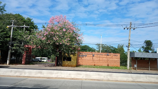 Centros donde estudiar moda en Asunción