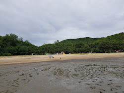 Photo de Handlehae Beach protégé par des falaises