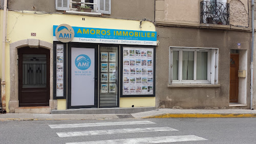 Agence immobilière Amoros Immobilier Carnoules