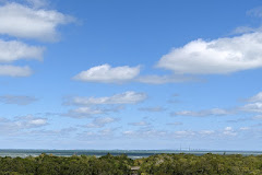 Robinson Preserve Tower