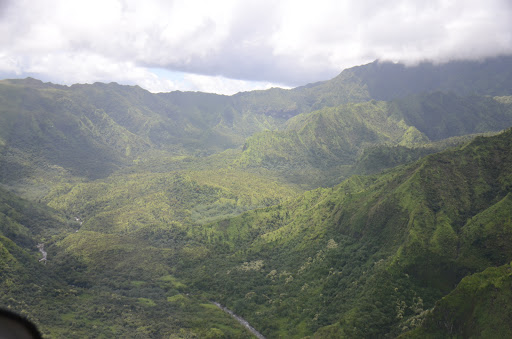 Gym «Planet Fitness», reviews and photos, 53 Marrows Rd, Newark, DE 19713, USA