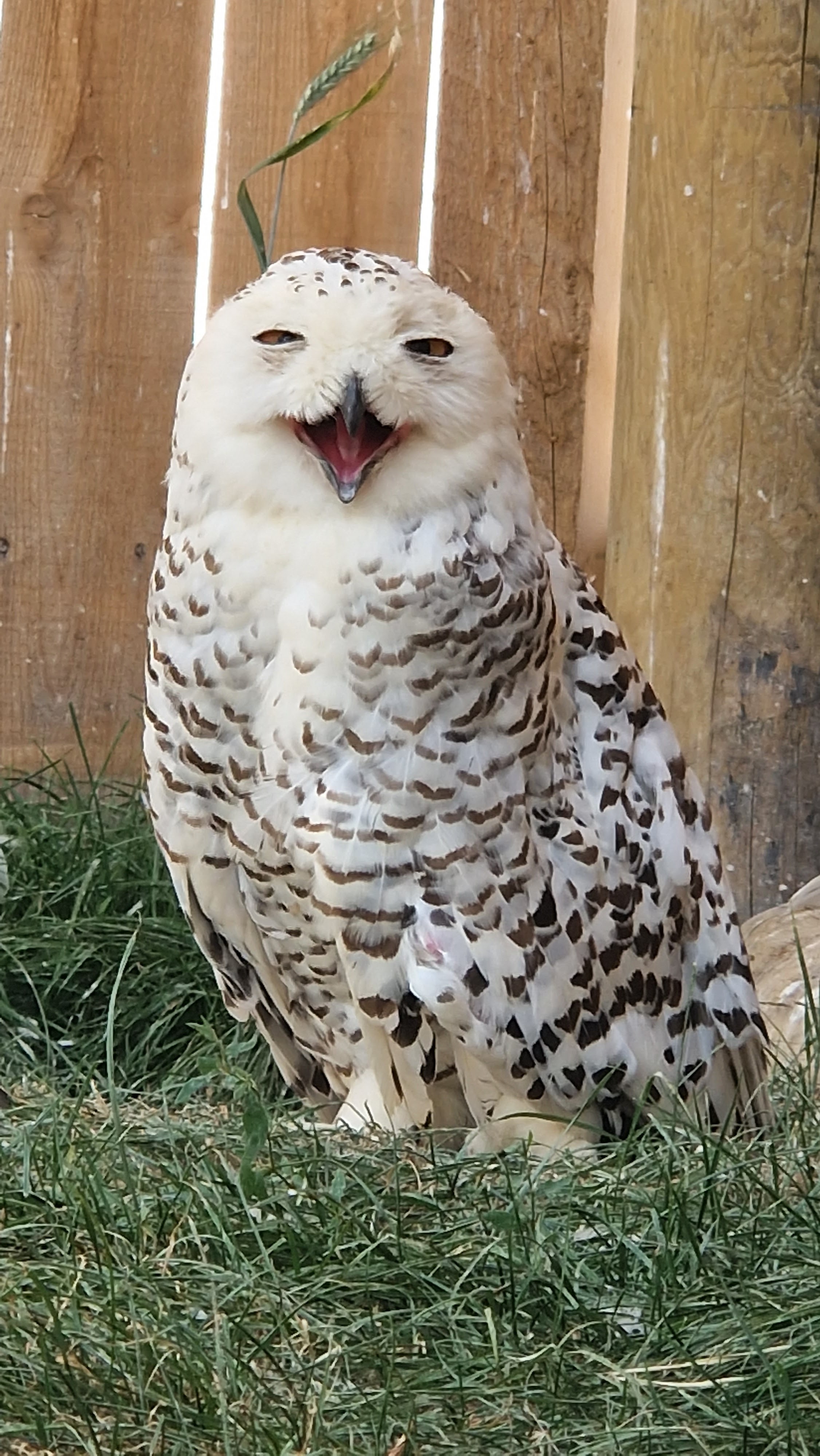 Photo n° 1 de l'avis de Laetitia.a fait le 15/08/2023 à 19:25