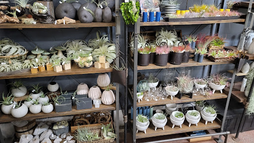 Hardware Store «Chase Ace Hardware Garden & Gift Emporium», reviews and photos, 1826 4th St, San Rafael, CA 94901, USA