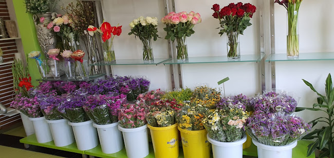 Loucura das Flores - loja Felgueiras - Floricultura