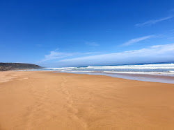 Zdjęcie Waitpinga Beach położony w naturalnym obszarze