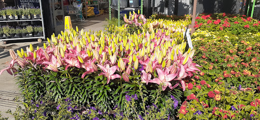 Lowes Home Improvement image