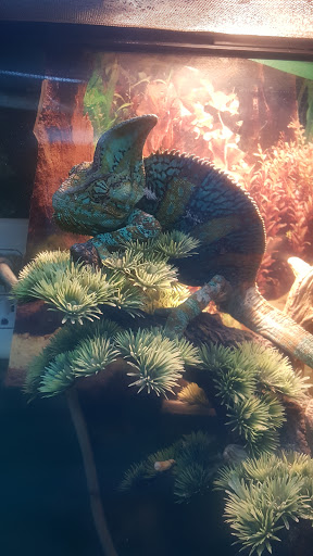 Pet Store «Tanks Pet Supply», reviews and photos, 628 S Main St, Princeton, IL 61356, USA