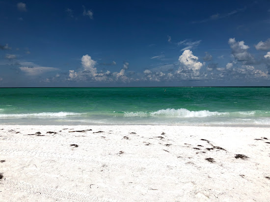 Bean Point beach