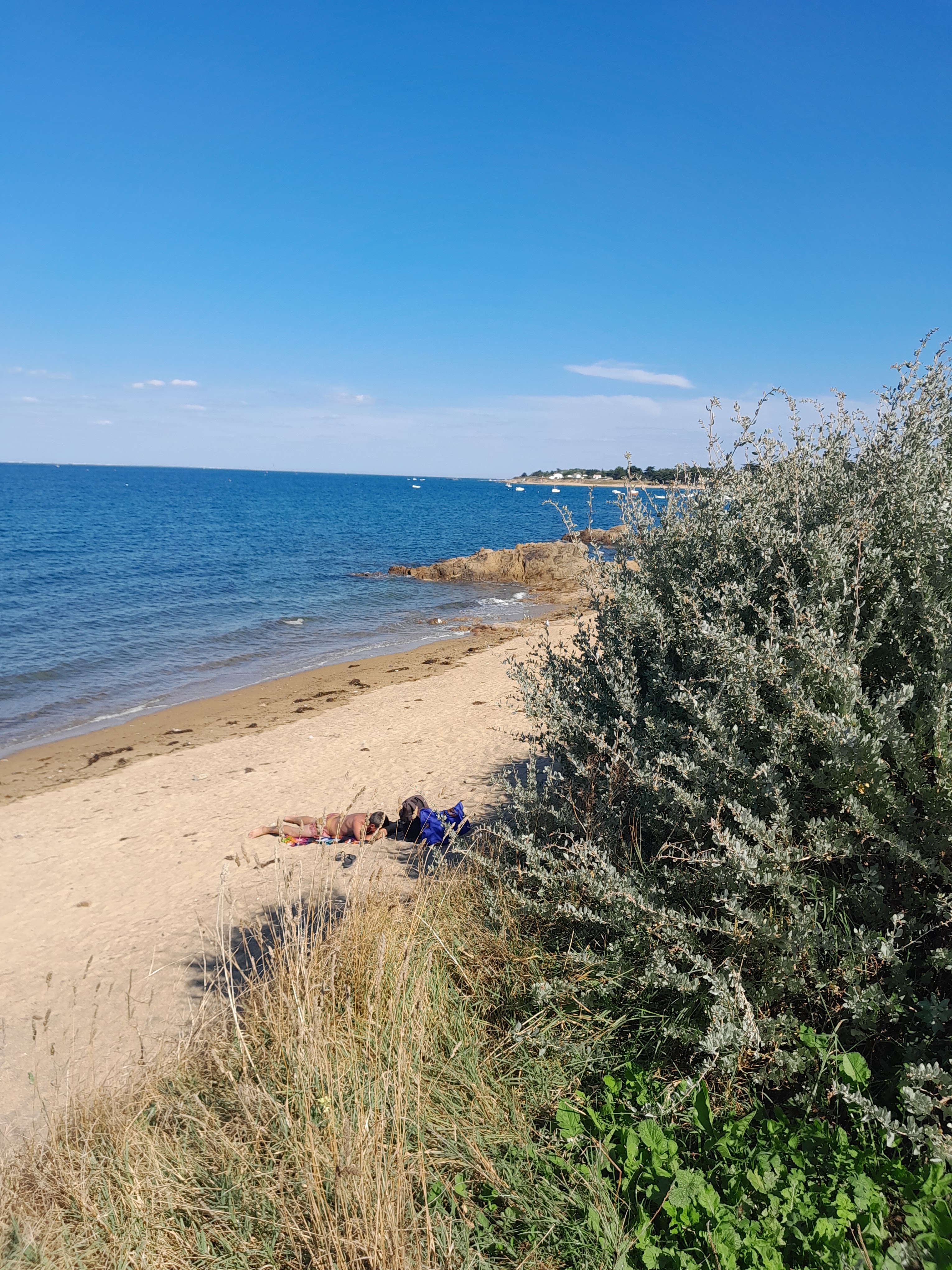 Photo n° 8 de l'avis de Xavier.o fait le 17/07/2022 à 15:52