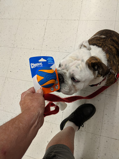 Pet Supply Store «PetSmart», reviews and photos, 1385 S Washington St, North Attleborough, MA 02760, USA