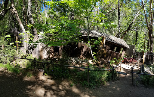 Tourist Attraction «Oregon Vortex», reviews and photos, 4303 Sardine Creek L Fork Rd, Gold Hill, OR 97525, USA