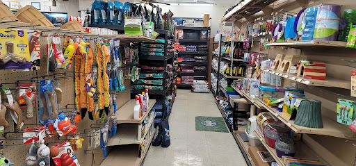 Pet Store «Coral Reef Pet Center», reviews and photos, 7723 W Lawrence Ave, Norridge, IL 60706, USA