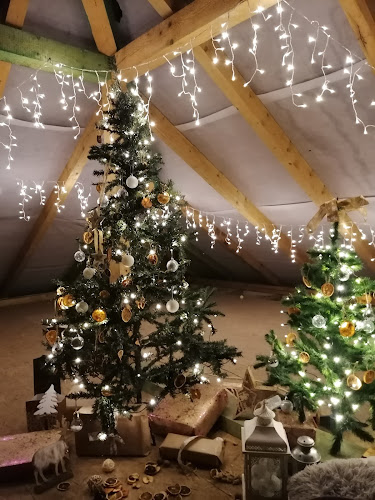 Simona Kašparová - Kladno