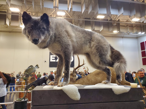 Event Venue «Springfield Expo», reviews and photos, 635 E St Louis St, Springfield, MO 65806, USA