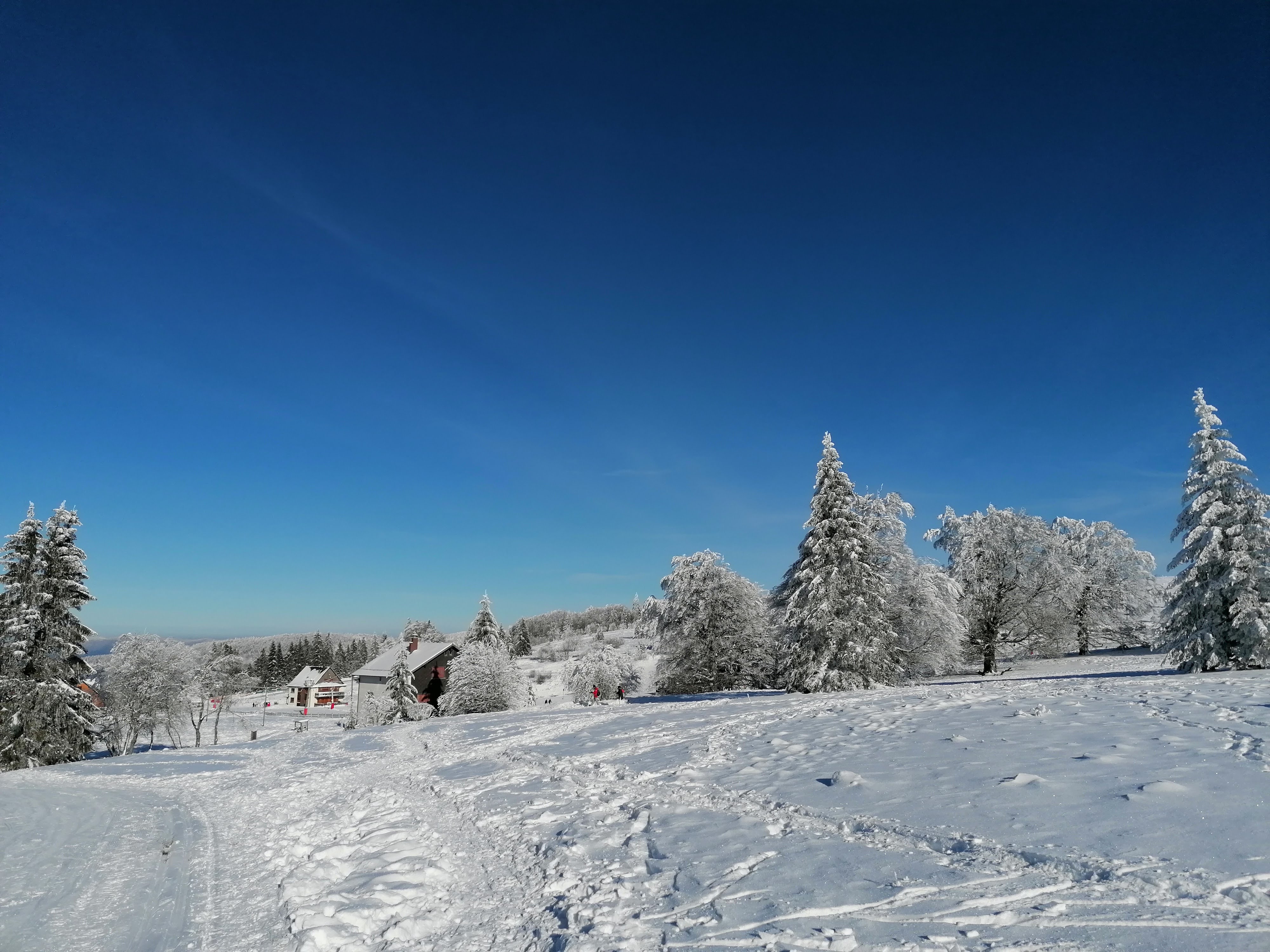 Photo n° 18 de l'avis de sumrak78. fait le 30/12/2020 à 15:39