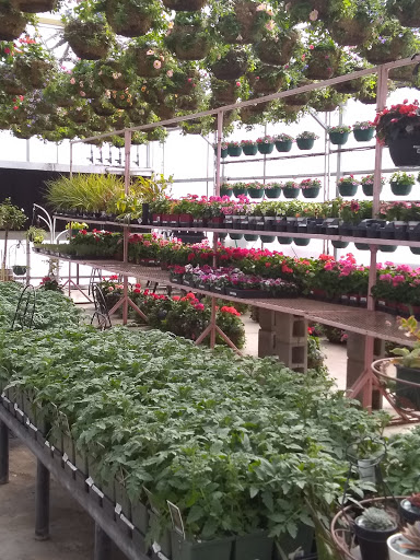 Garden Center «Spencer’s Lawn & Garden Centers», reviews and photos, 1430 S Tejon St, Colorado Springs, CO 80905, USA