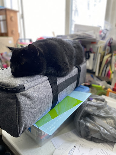 Florist «Swan Floral & Gift Shop», reviews and photos, 4311 Dixie Hwy, Erlanger, KY 41018, USA