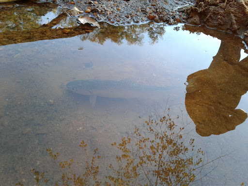 Park «Garrard Landing Park», reviews and photos, 8000 Holcomb Bridge Rd, Alpharetta, GA 30022, USA