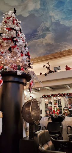 Beauty Salon «Steven Paul Salon», reviews and photos, 7045 E 3rd Ave, Scottsdale, AZ 85251, USA