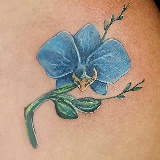 Explore woman arm tattoo ideas, creative tattoo ideas in San Diego, available at SD Tattoo