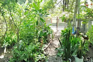 Kebun Lintang Panglipuran image