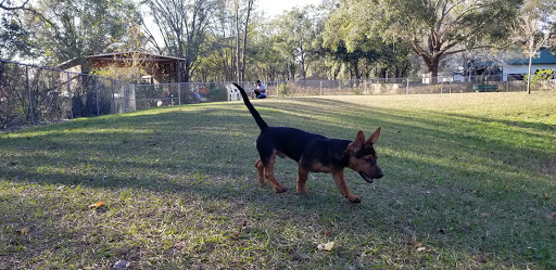 Park «Lutz Dog Park», reviews and photos, 122 1st Ave SW, Lutz, FL 33548, USA