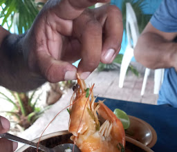 Coctelería Mr Fish Juncana photo