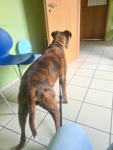 Peter Fus Tierarzt unter Wincheringen, Rheinland-Pfalz