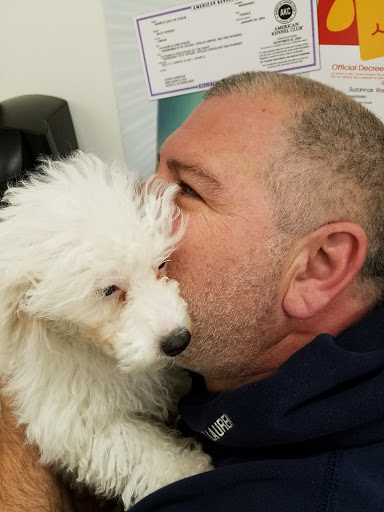 Pet Store «Puppy City», reviews and photos, 3343 Valley Pike, Winchester, VA 22602, USA