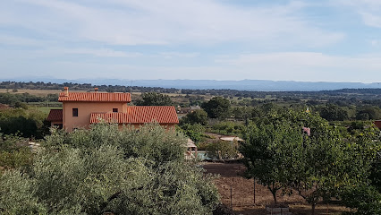 Hostal Los Rosales - Carretera PLASENCIA, EX-203, 14, 10420 Tejeda de Tiétar, Cáceres, Spain