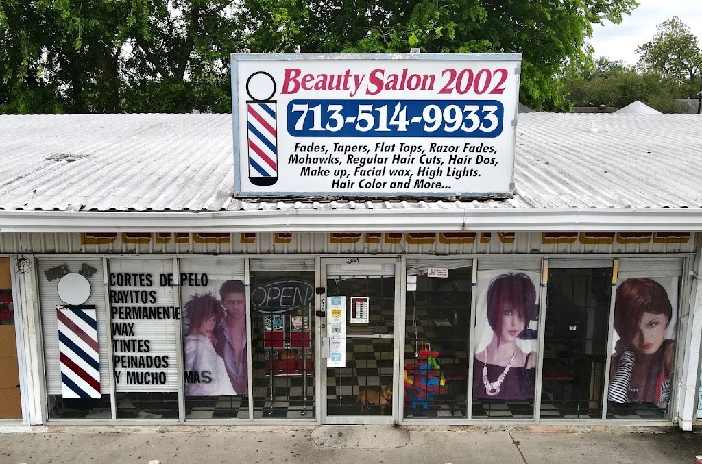 Beauty Salon 2002 77011