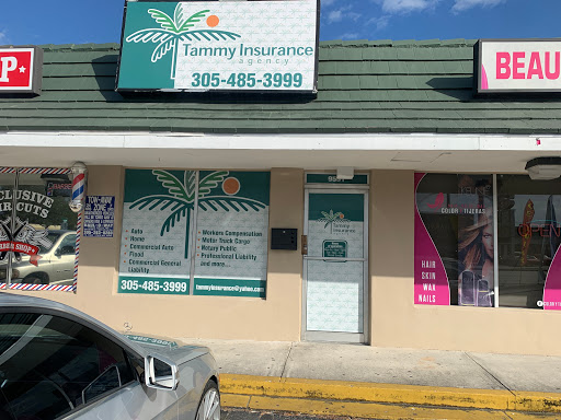 Insurance Agency «Tammy Insurance Agency», reviews and photos