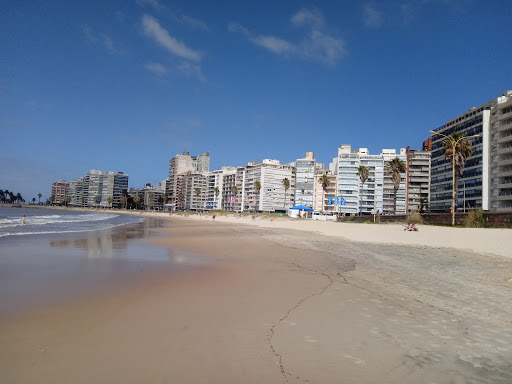 Playa Pocitos - Bajada Av. Brasil