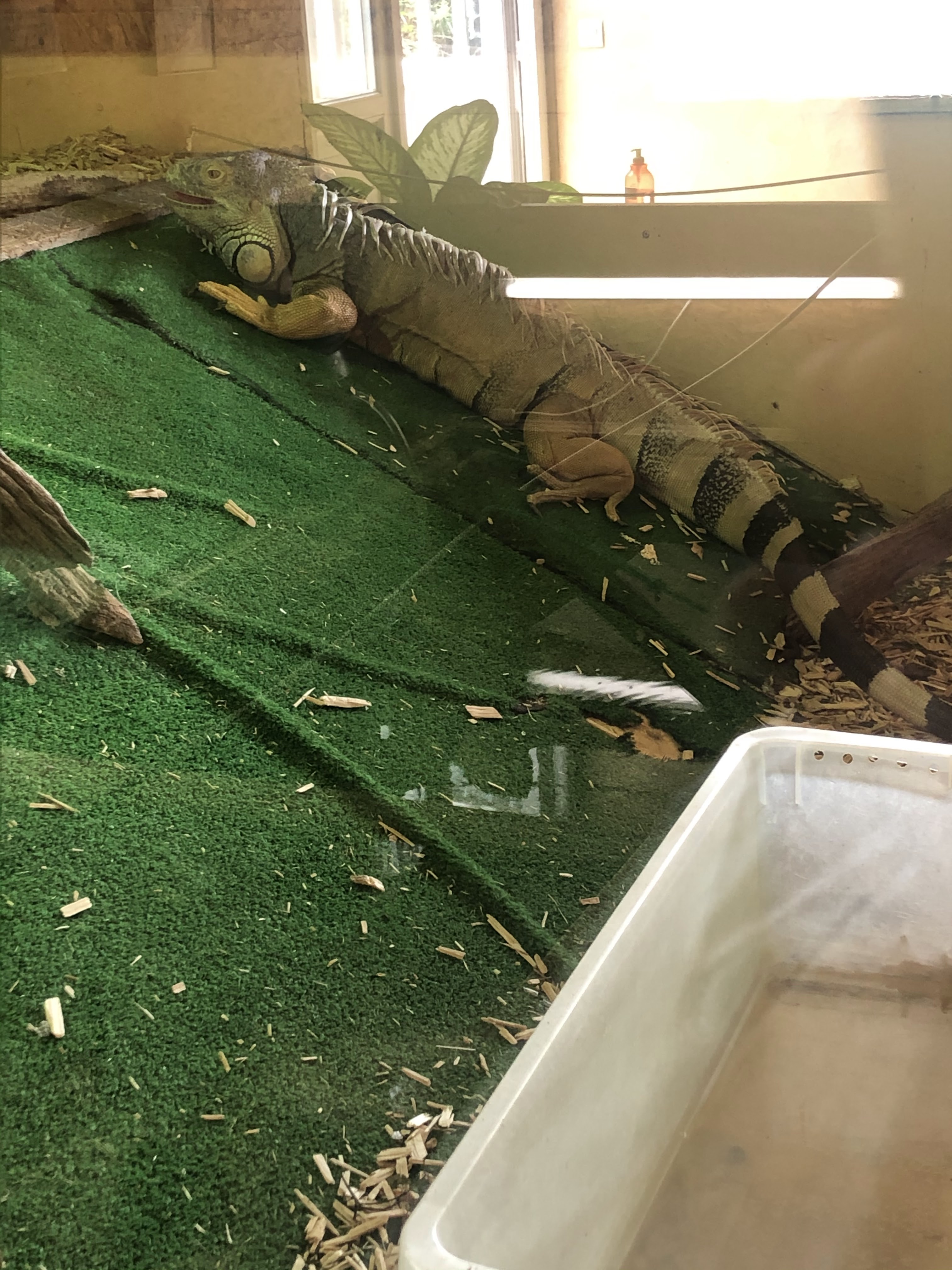 Photo n° 2 de l'avis de Magali.v fait le 05/08/2021 à 07:20