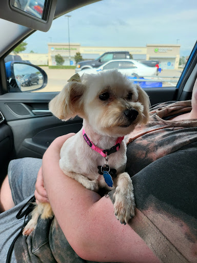 Pet Supply Store «PetSmart», reviews and photos, 2500 Posner Blvd, Davenport, FL 33837, USA