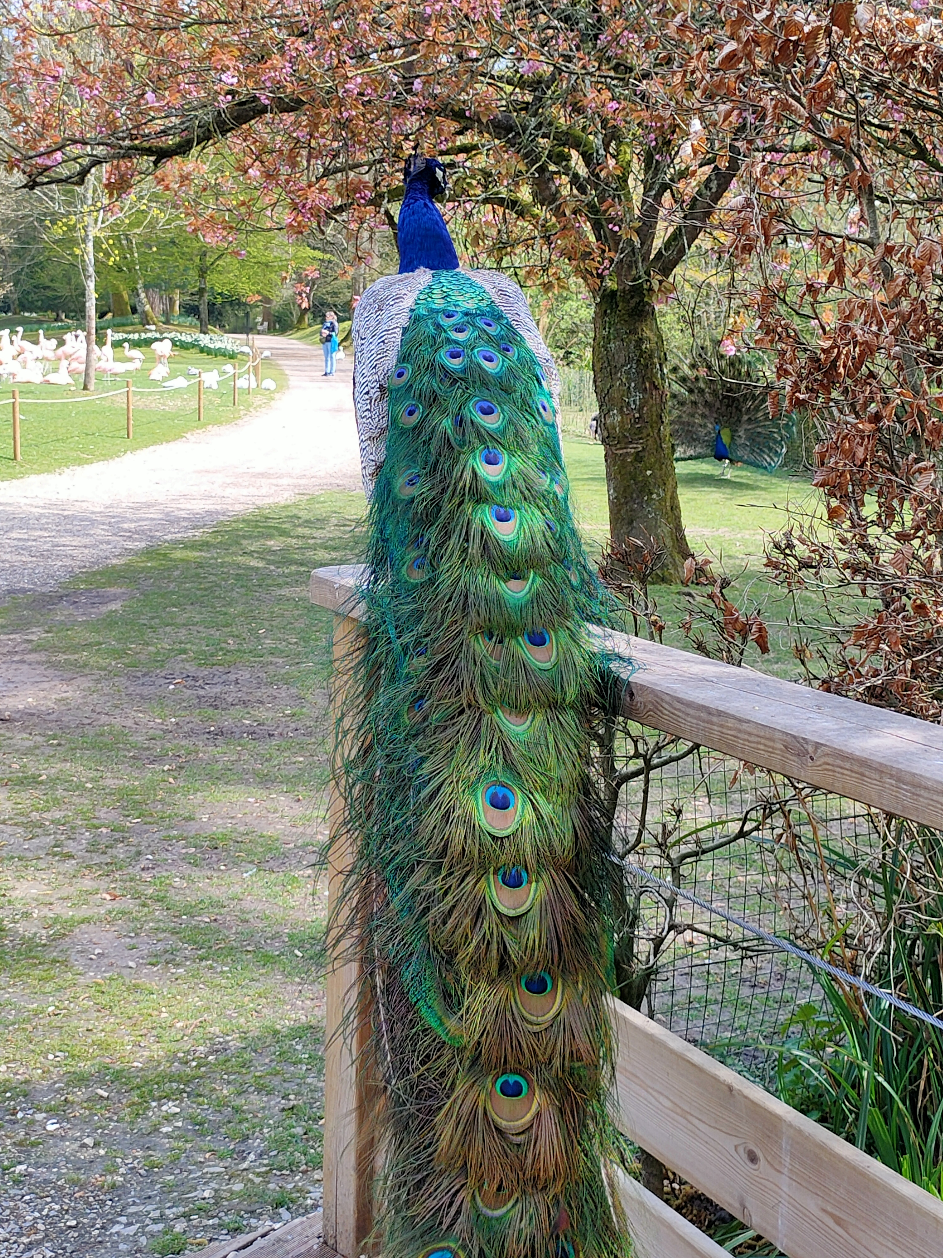 Photo n° 20 de l'avis de Eric.l fait le 16/04/2023 à 16:52