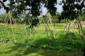 Familyfarm Donzhausen