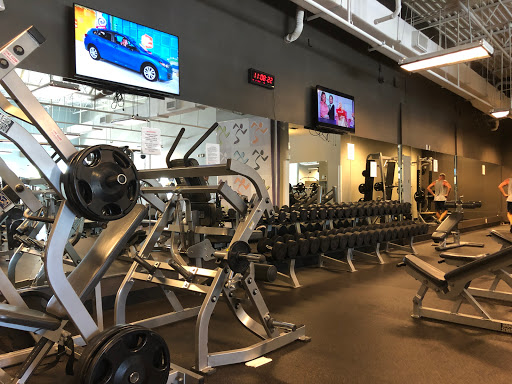 Gym «Anytime Fitness», reviews and photos, 6110 N U.S. Hwy 41, Apollo Beach, FL 33572, USA